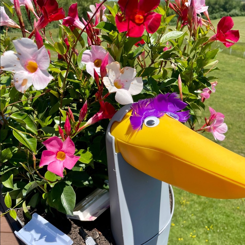 Meet your Posher, Janet